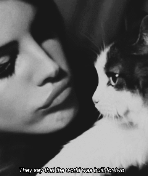 My Immortal :3