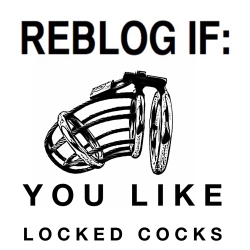 dora0112:  locked-cock:  hans-im-glueck:  always  Yes, love seeing locked cocks, like mine in chastity  Oh yes
