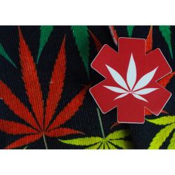 weedporndaily:  Grab a #MedicalMarijuana sticker and a pair of rasta #weedsocks from our #headshop –&gt; http://ift.tt/1ewk9aR @therealwpd 