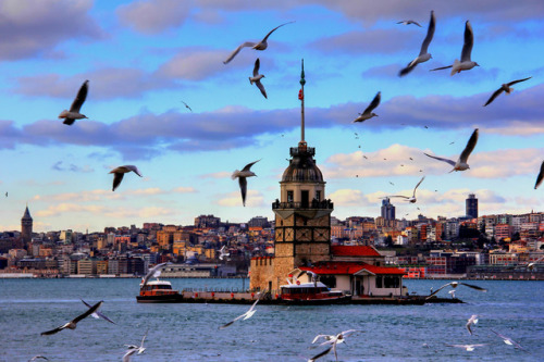 Günaydın “İstanbul’dan ayrılmak istemiyoruz fakat senede kaç defa kütüphaneye gideriz? Üç beş cadde 