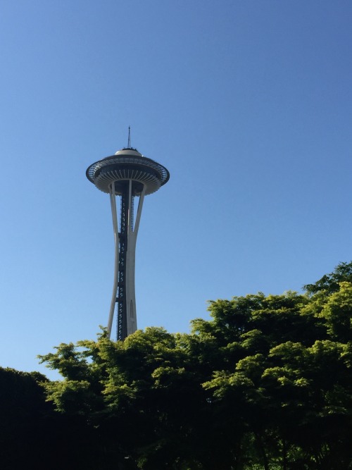 A view of that needle in Seattle while walking down Queen Anne hill.Seattle, WA