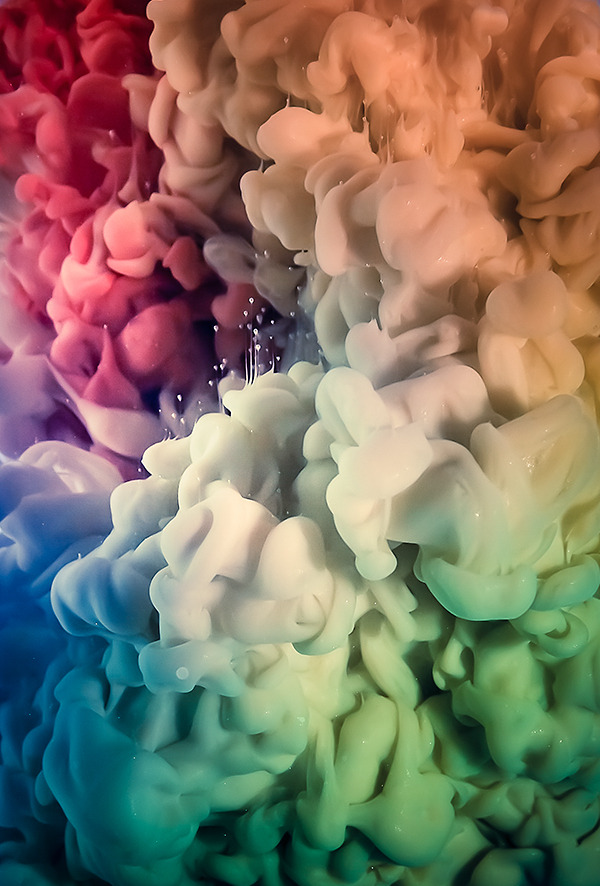 cerceos:  Christian Solf - VividWebsite | Facebook