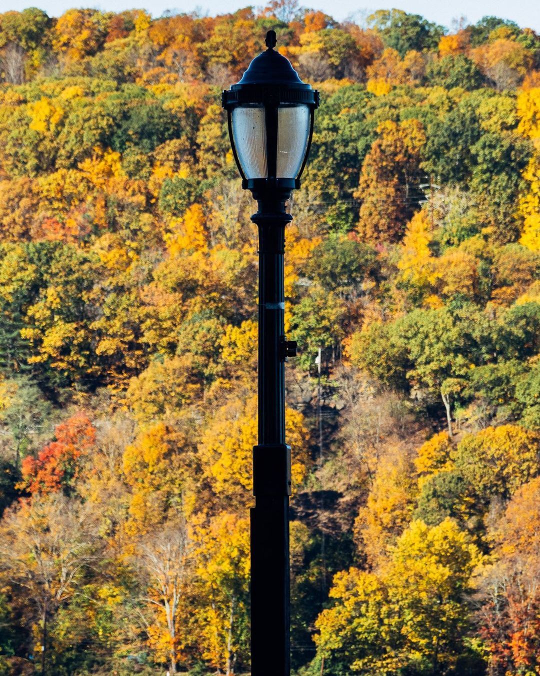 A lamppost at Waryas Park set against the colorful Highland Hills of Fall. (at Victor C. Waryas Park)
https://www.instagram.com/p/CV37ioJAOMR/?utm_medium=tumblr