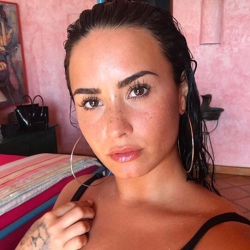 Camila C + Demi L Icons