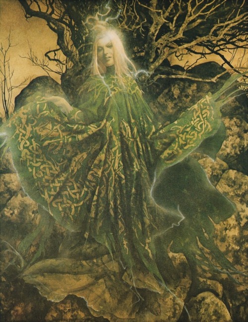 oldchildrensbooks:Les Fées / The FairiesAlbin Michel Éditeur, Paris.Artist : Brian Froud