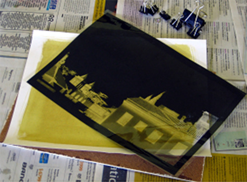 Kit de Bricolaje de impresión de Cianotipo de ferricianuro de potasio para Pinturas Textiles de Tela de Papel de impresión Solar Monkys Juego de Cianotipo 