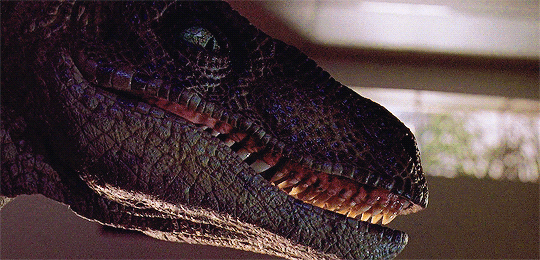 jurassicdaily:  Velociraptors in every movie: Jurassic Park The Lost World: Jurassic