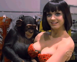 free-celebrity-porn:  Katy Perry Boobs -
