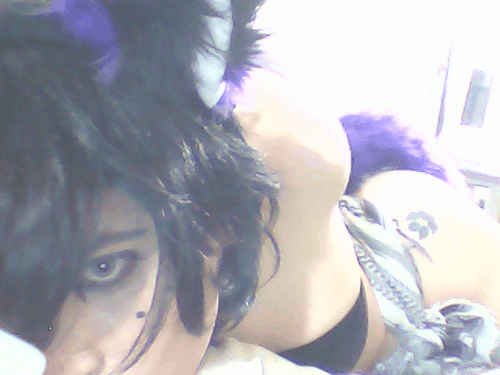 nuefox:  *faps to furry pronz* :3 i needz a husky to top this fox  ;P 