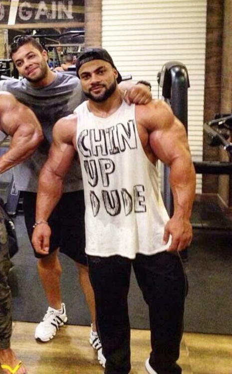 Galal Zakaria