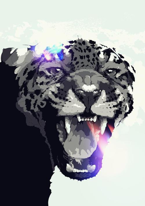 fer1972:   Animal Rage: Illustrations by Bram Van Haeren