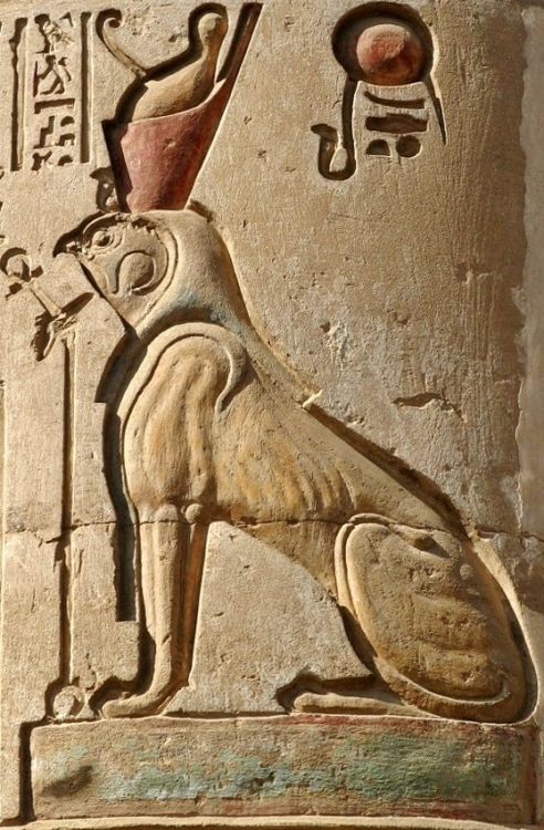 amntenofre: detail from a column of the Double Temple of Haroeris and Sobek at Ombos:the God Haroe