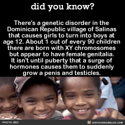 did-you-kno:  There’s a genetic disorder in the Dominican Republic village of Salinas that causes girls to turn into boys at age 12. About 1 out of every 90 children there are born with XY chromosomes but appear to have female genitalia. It isn’t