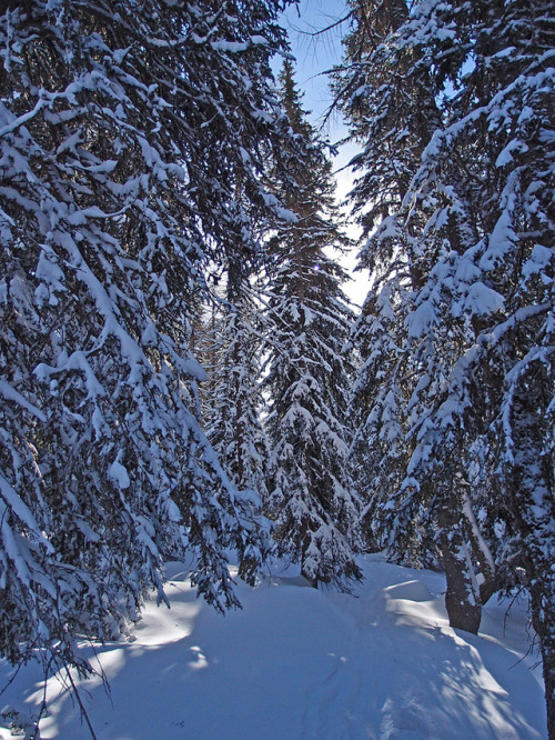 Snow