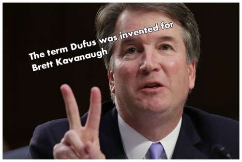 brett kavanaugh