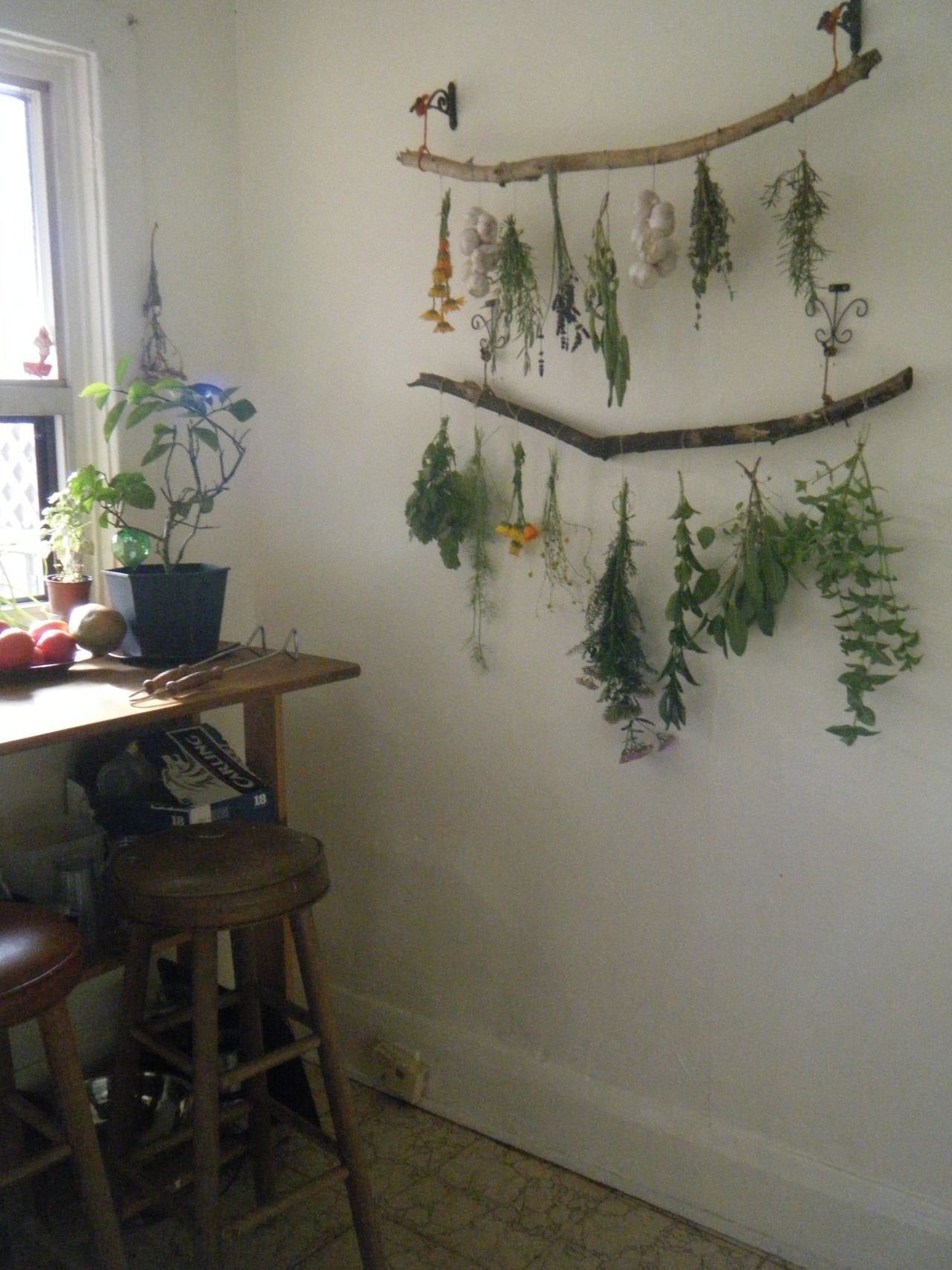 tulullabelle: my new drying set up! slowly harvesting the herb garden   Love love