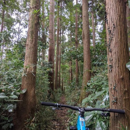 パラパラ小雨か降ってきてヒヤヒヤしなからトレイルインしたらギリギリな路面コンディションだった #mtblife #mountainbike #mtb #trailride #santacruz5010