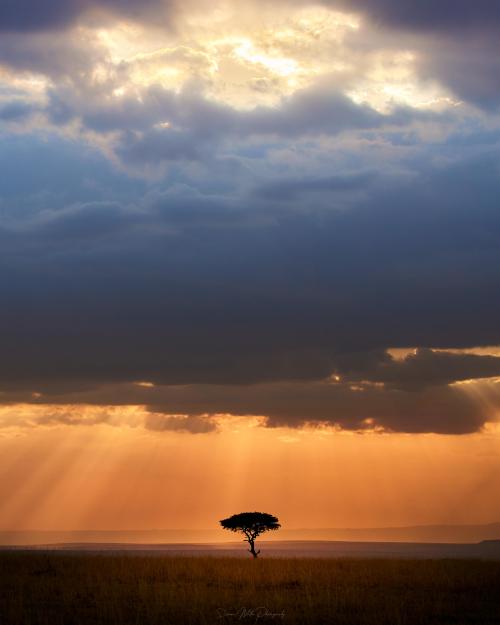 amazinglybeautifulphotography:Sunset on the plains of the Masai Mara, Kenya [3951 × 4938](OC) - Author: MrPeel11 on Reddit