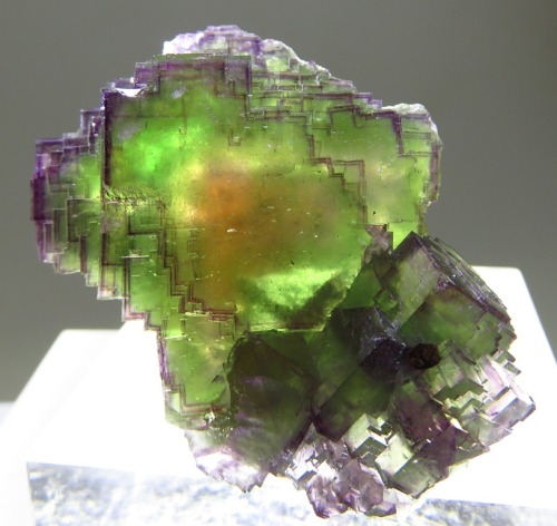 bijoux-et-mineraux:Rainbow Fluorite -  Bergmännisch Glück Mine, Frohnau, Erzgebirge, Saxony, German