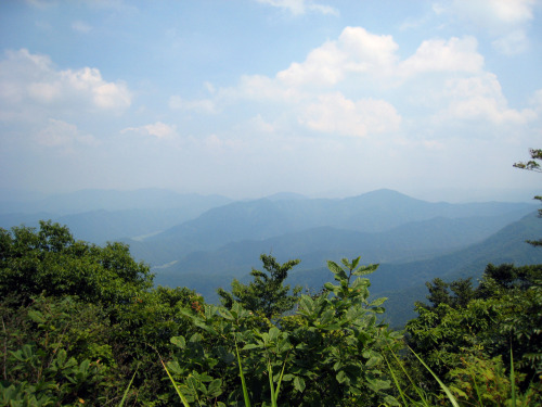 日野山（ひのさん、Mt.Hino）標高795m20080803日野神社奥ノ院日野神社奥の院改築記念碑日野山山頂標識日野山山頂からの眺望登山道