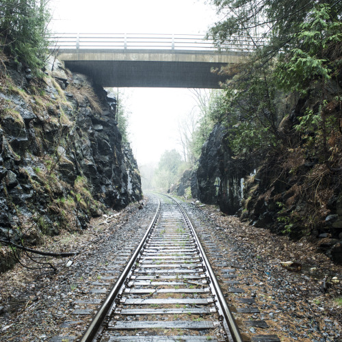 exploring near home is always fun, especially while there’s excellent lighting on rainy days. availa