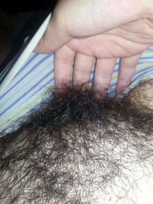 http://velter1.tumblr.com/post/101280061067