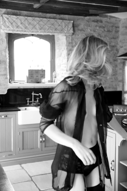 lorenzens-soil:  Kitten in the Kitchen 
