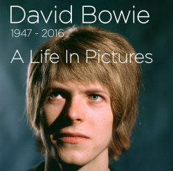 buzzfeed:  David Bowie: A Life In PicturesThe