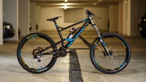 29andmine: horsthimself:  Canyon Torque  b e a utiful