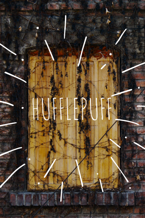 residentpotter:the hufflepuff l a d i e s: promo for the @hpwocnetwork (looking for members now!!)Hu