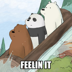 Bears Get Pumped For Any And All Water Rides.