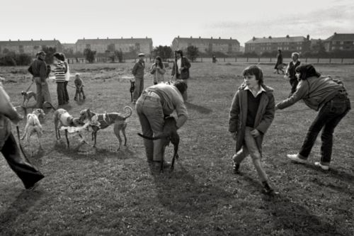 vintageeveryday: Fascinating pictures of the Whippet clubs in Ashington and North Seaton in 1982.