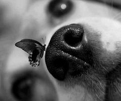 Untitled en We Heart It. http://weheartit.com/entry/72153778/via/Blababla