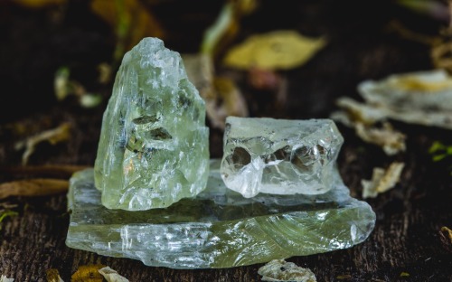 “Take away love, & our earth is a tomb” This picture is of three beautiful & uni