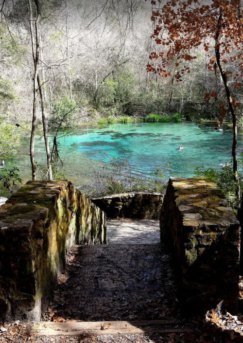 Ichetucknee Springs State Park, Florida / USA (by johnandmary).