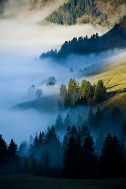 brutalgeneration:  Brumes (by Vincent Favre)