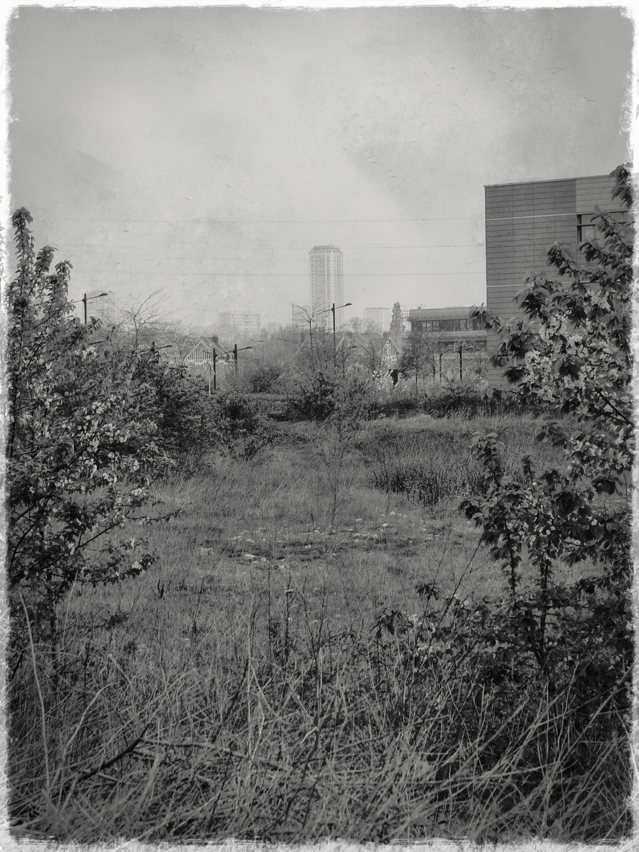 horseunderthetable:  Suburban homesick blues© Etienne Cabranhttp://horseunderthetable.tumblr.com/