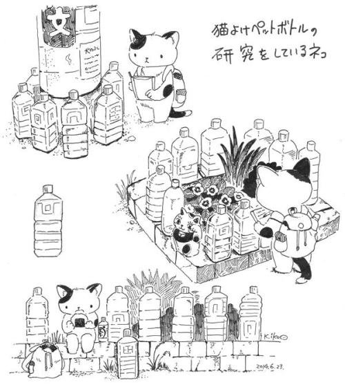 kiri2: RT @iko1225: 猫よけペットボトルの研究をしているネコ t.co/HEbFys51E4