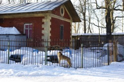 Gatchina / Гатчина