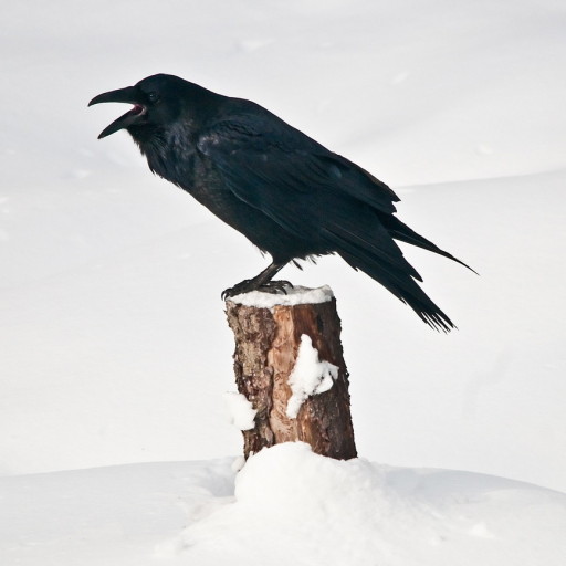 carrickmacross:lucytheblackbird:Even those that paid off their own loans will pay