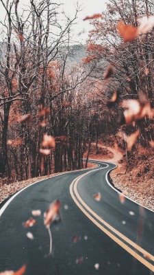 autumnwintervibes:  Hello Autumn 🍂