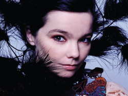 bdork:  intothedarkwoods:Björk photographed