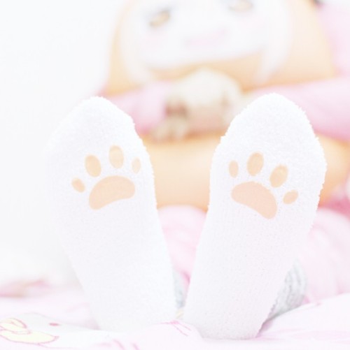 ♡ Cute Kitty Socks (2 Colours) - Buy Here ♡Discount Code: behoney (10% off your purchase!!)Please li