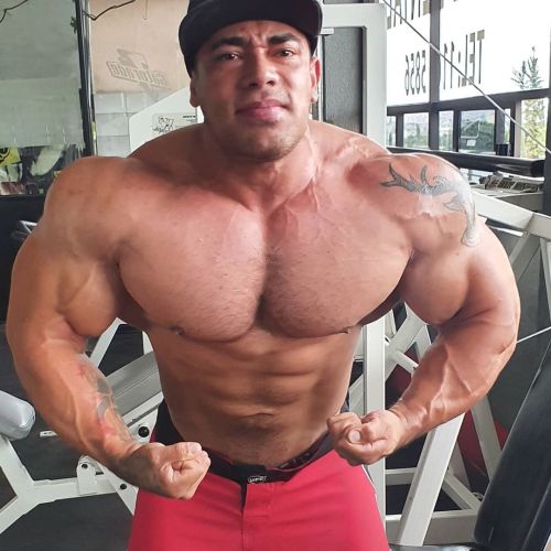 muscleryb:young massive muscle beastEmmanuel Longoria