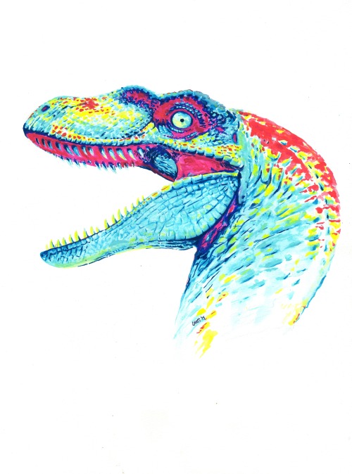 Rainbow Raptor by Brett Gross. Water soluble crayons on water color paper. 18″x24″.