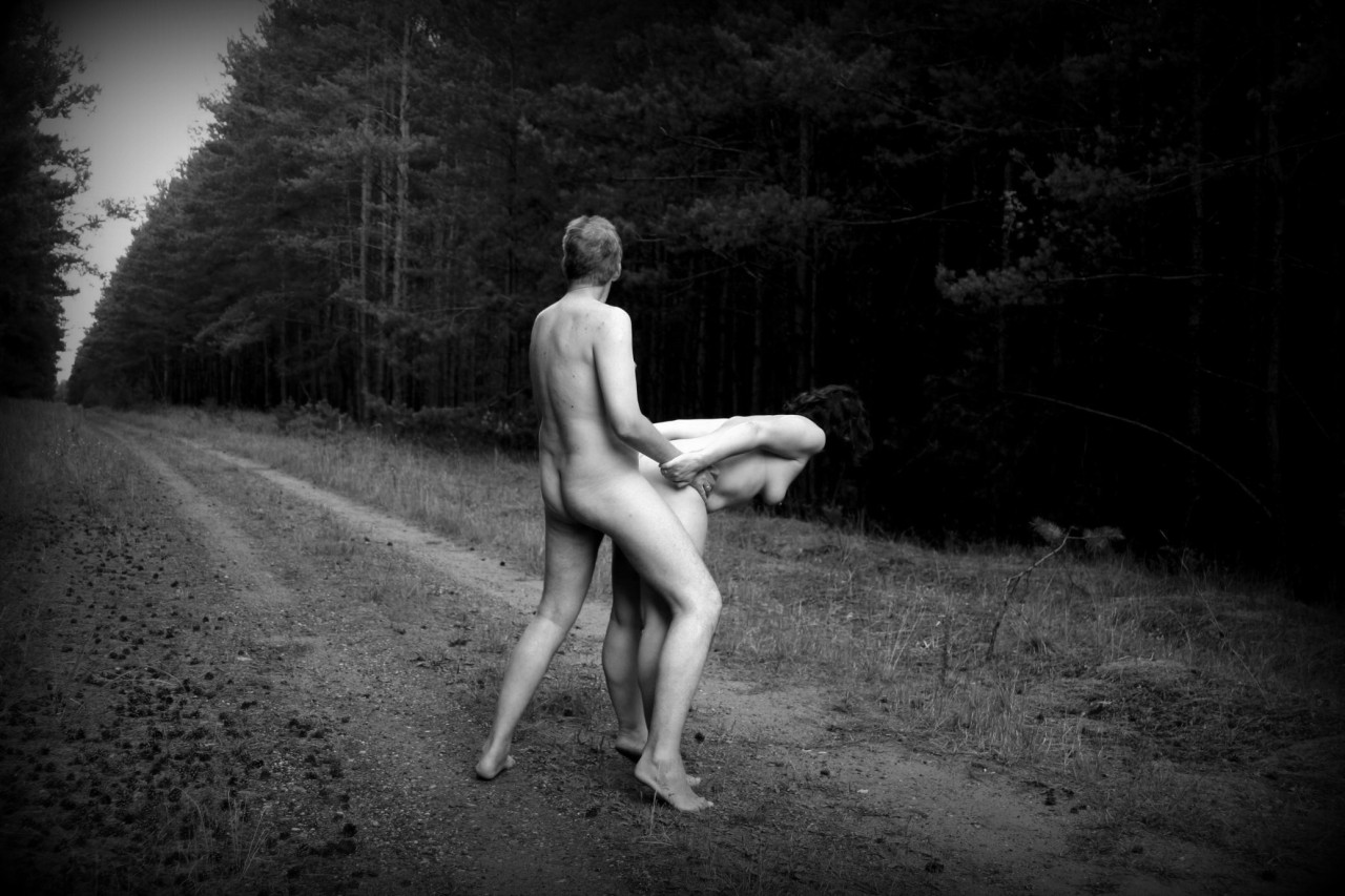 Souvenir d’une promenade en foret un Dimanche