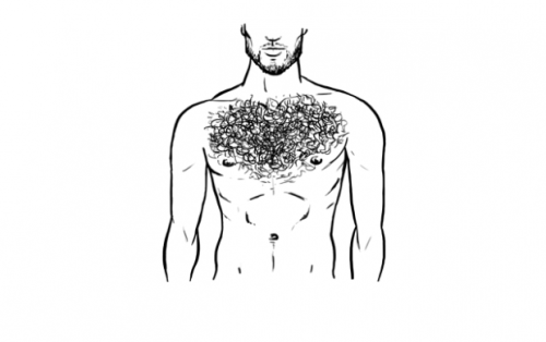 This is my Chest Hair Pattern. http://chadjamesxxx.comhttp://chadjamesxxx.tumblr.com/https://twitter