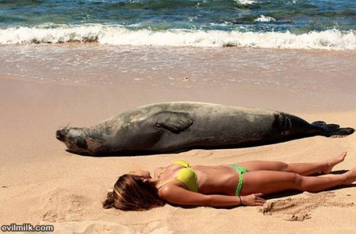 You know its a good day when you get to troll a sea lion, or vice versa.