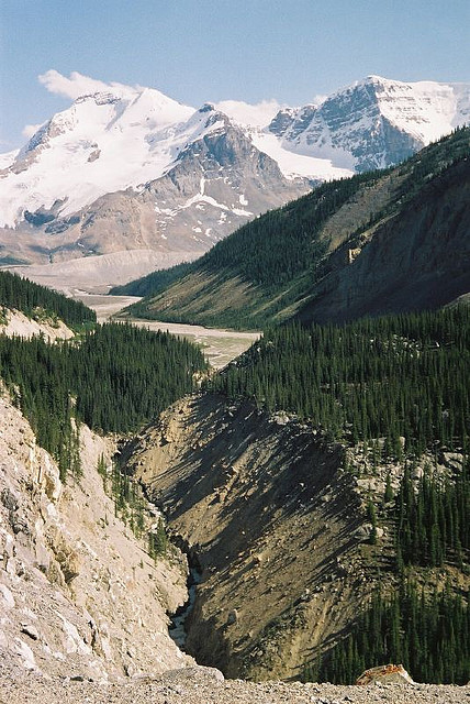 achsen:  29 - Mt Athabasca & Mt Andromeda from Wilcox Pass by abacusengine on Flickr.