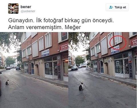 Günaydın ilk fotoğraf...